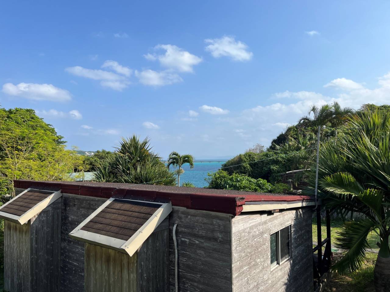 ちょっと独り言